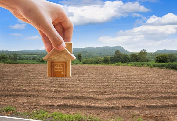 Investment Plots
